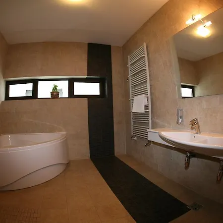 Guest house Timis Valley, Casa Eni&dan
